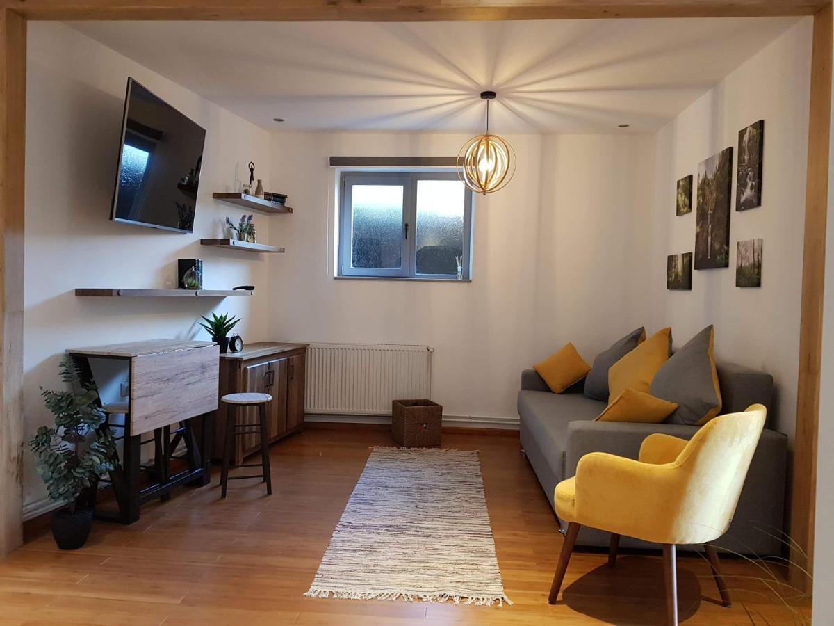 Old Bakery House Apartment Sinaia